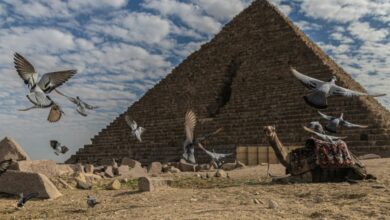 مشروعات الذكاء الاصطناعي المصرية