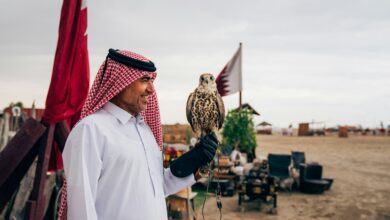 AI في قطر