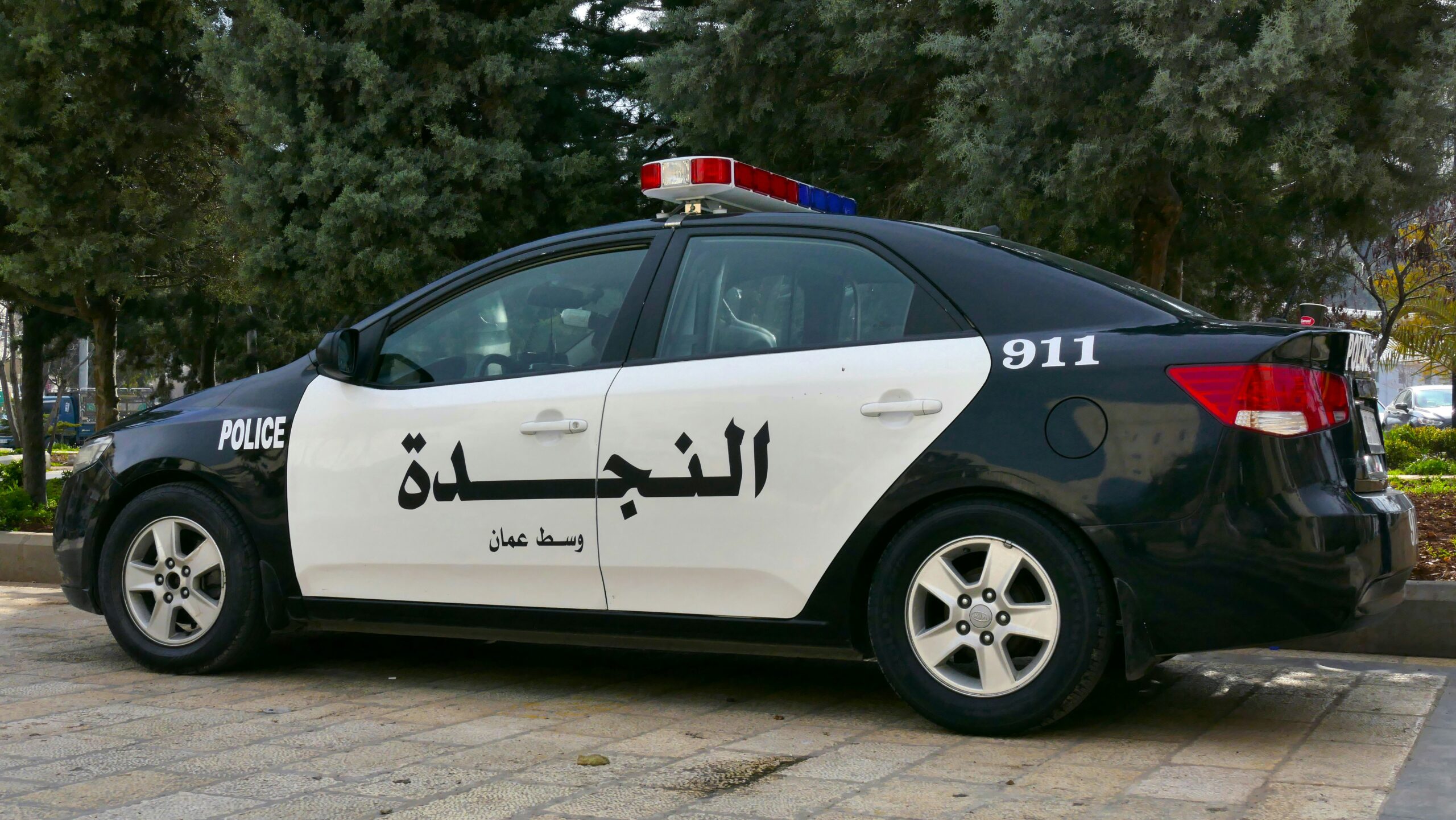 AI أمن عربي